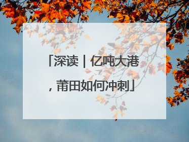 深读｜亿吨大港，莆田如何冲刺