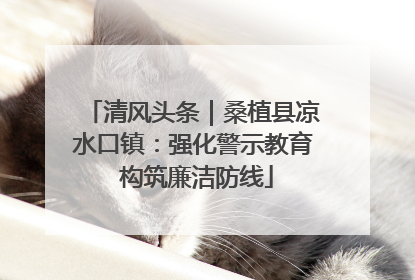 清风头条｜桑植县凉水口镇：强化警示教育 构筑廉洁防线
