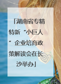 湖南省专精特新“小巨人”企业培育政策解读会在长沙举办
