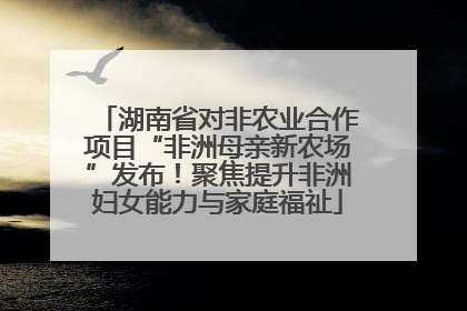 湖南省对非农业合作项目“非洲母亲新农场”发布！聚焦提升非洲妇女能力与家庭福祉