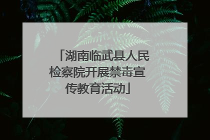 湖南临武县人民检察院开展禁毒宣传教育活动