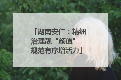 湖南安仁：精细治理靓“颜值” 规范有序增活力