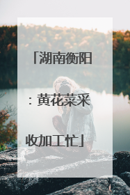 湖南衡阳：黄花菜采收加工忙