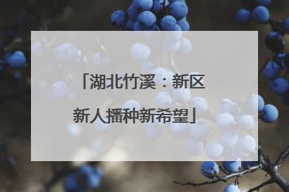 湖北竹溪：新区新人播种新希望