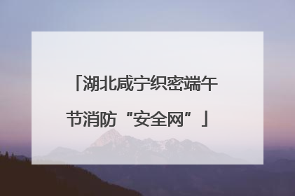 湖北咸宁织密端午节消防“安全网”
