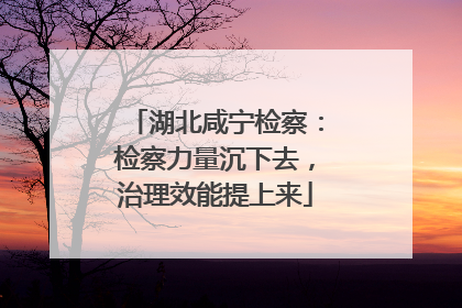 湖北咸宁检察：检察力量沉下去，治理效能提上来