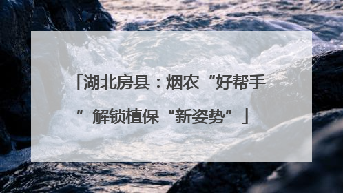 湖北房县：烟农“好帮手”解锁植保“新姿势”