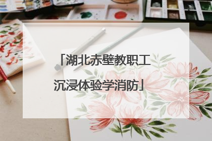 湖北赤壁教职工沉浸体验学消防