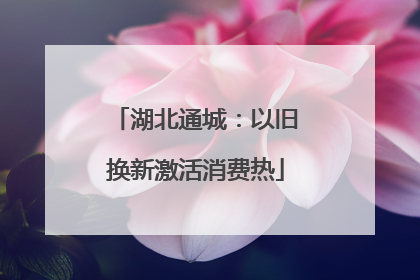 湖北通城：以旧换新激活消费热