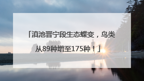 滇池晋宁段生态蝶变，鸟类从89种增至175种！