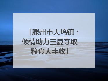 滕州市大坞镇：倾情助力三夏夺取粮食大丰收