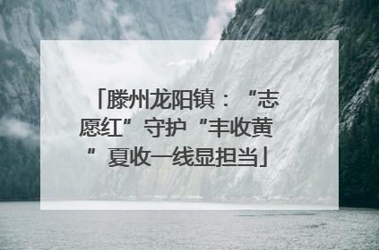 滕州龙阳镇：“志愿红”守护“丰收黄”夏收一线显担当