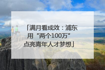 满月看成效：浦东用“两个100万”点亮青年人才梦想