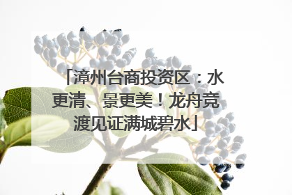 漳州台商投资区：水更清、景更美！龙舟竞渡见证满城碧水