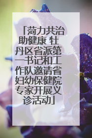 菏力共治助健康 牡丹区省派第一书记和工作队邀请省妇幼保健院专家开展义诊活动
