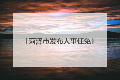 菏泽市发布人事任免