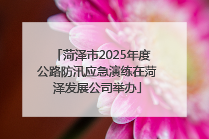 菏泽市2025年度公路防汛应急演练在菏泽发展公司举办