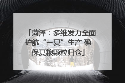 菏泽：多维发力全面护航“三夏”生产 确保夏粮颗粒归仓