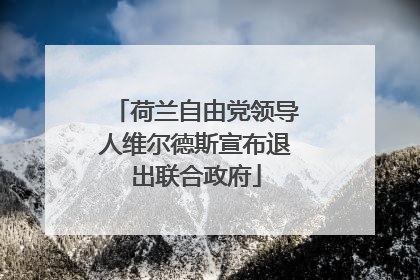 荷兰自由党领导人维尔德斯宣布退出联合政府