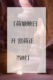 荷塘映日开 赏荷正当时