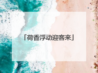 荷香浮动迎客来