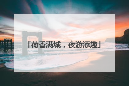 荷香满城，夜游添趣