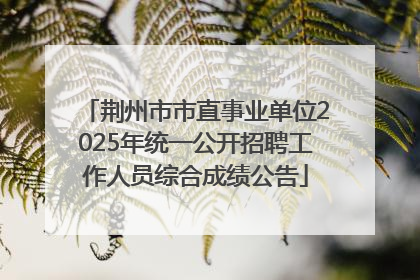 荆州市市直事业单位2025年统一公开招聘工作人员综合成绩公告