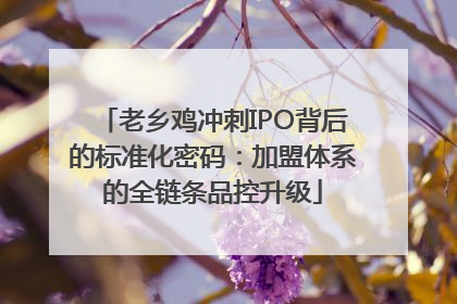 老乡鸡冲刺IPO背后的标准化密码：加盟体系的全链条品控升级