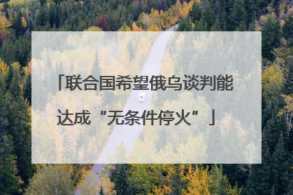 联合国希望俄乌谈判能达成“无条件停火”