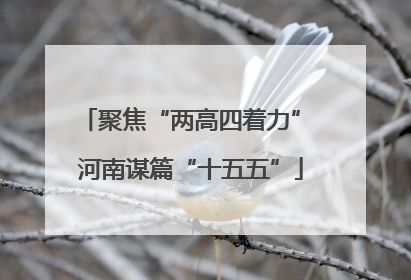 聚焦“两高四着力” 河南谋篇“十五五”