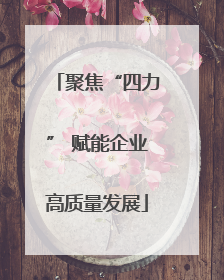 聚焦“四力” 赋能企业高质量发展