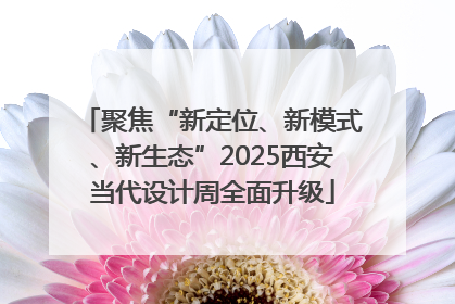 聚焦“新定位、新模式、新生态”2025西安当代设计周全面升级