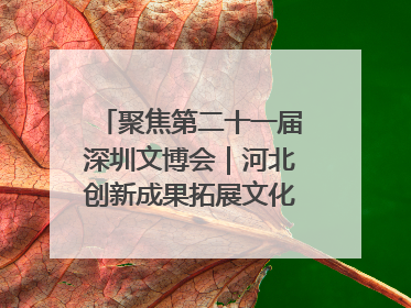 聚焦第二十一届深圳文博会｜河北创新成果拓展文化产业“朋友圈”