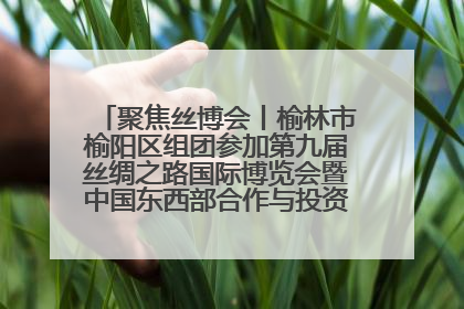 聚焦丝博会丨榆林市榆阳区组团参加第九届丝绸之路国际博览会暨中国东西部合作与投资贸易洽谈会