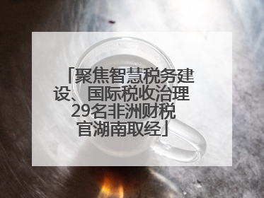 聚焦智慧税务建设、国际税收治理 29名非洲财税官湖南取经