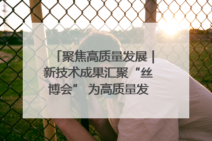 聚焦高质量发展｜新技术成果汇聚“丝博会” 为高质量发展注入新动能