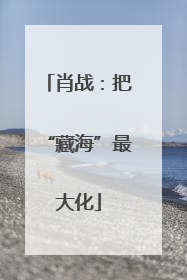 肖战：把“藏海”最大化