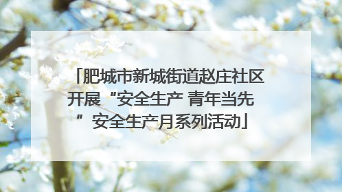 肥城市新城街道赵庄社区开展“安全生产 青年当先”安全生产月系列活动
