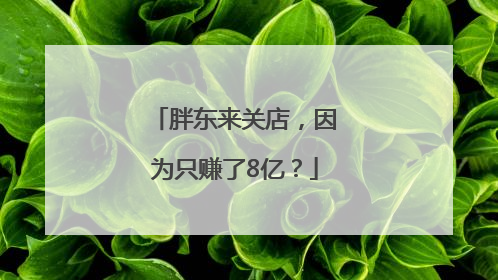 胖东来关店，因为只赚了8亿？