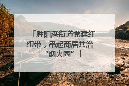 胜阳港街道党建红纽带，串起商居共治 “烟火圈”