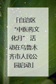 自治区 “中医药文化月” 活动在乌鲁木齐市人民公园启动