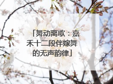 舞动离歌：嘉禾十二段伴嫁舞的无声韵律