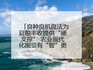 良种良机良法为夏粮丰收提供“硬支撑” 农业现代化图景有“智”更有“质”
