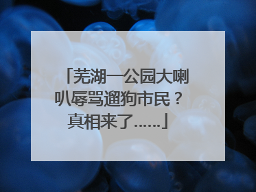 芜湖一公园大喇叭辱骂遛狗市民？真相来了……