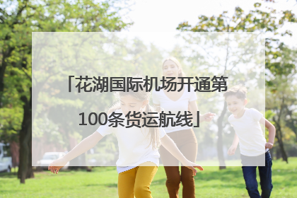 花湖国际机场开通第100条货运航线