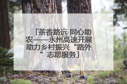 茶香路远 同心助农——永州高速开展助力乡村振兴“路外”志愿服务