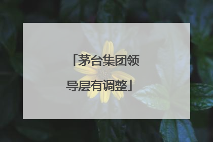 茅台集团领导层有调整