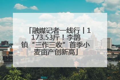 融媒记者一线行丨1173.53斤！李鹊镇“三作三收”首季小麦亩产创新高