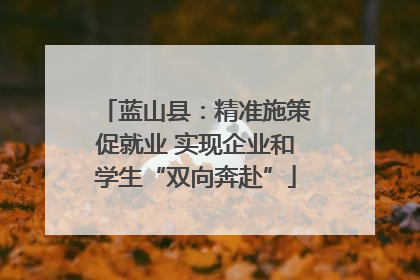 蓝山县：精准施策促就业 实现企业和学生“双向奔赴”