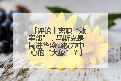 评论丨离职“效率部”，马斯克是闯进华盛顿权力中心的“大象”？